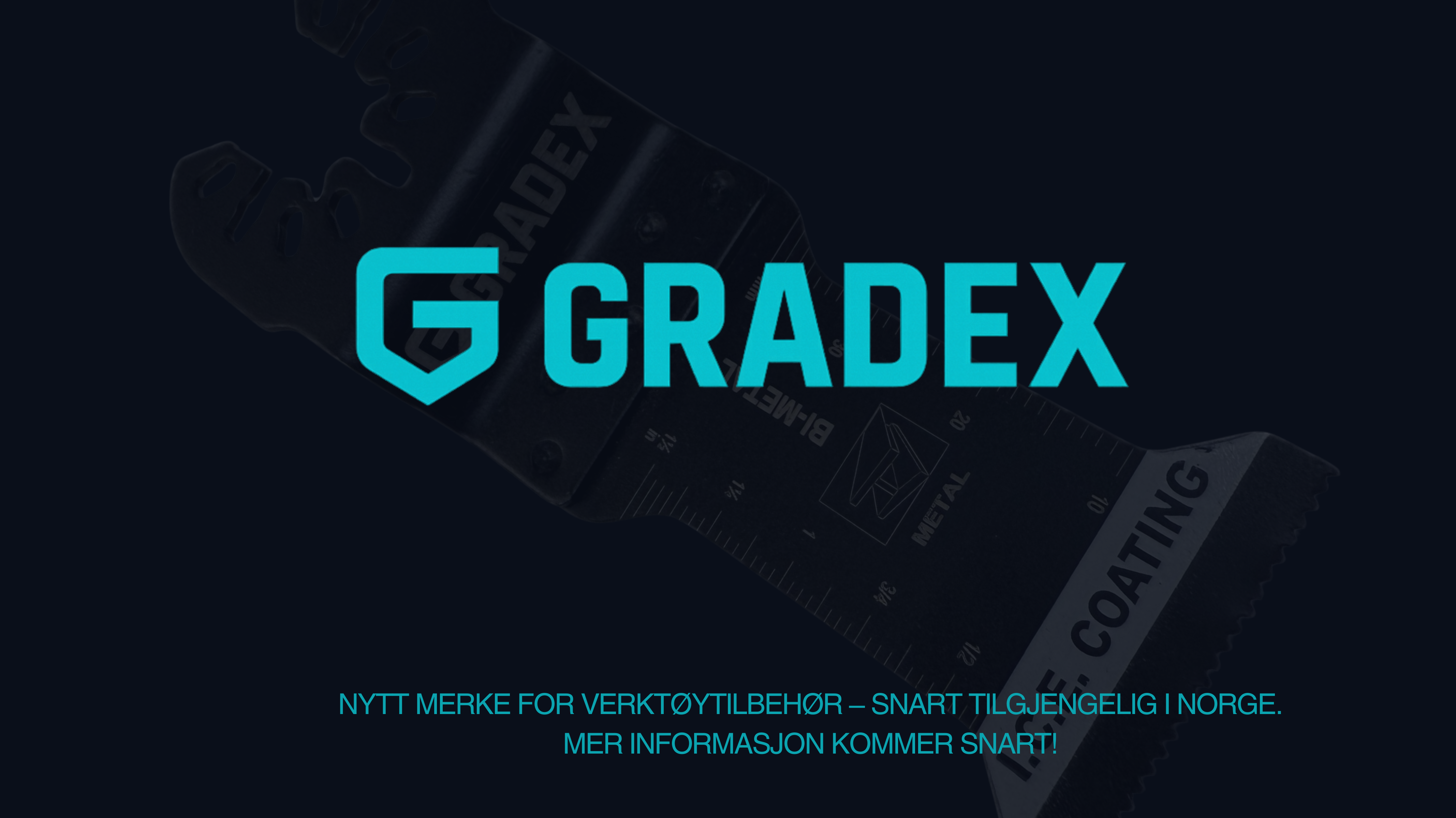 Pagrindinis paveikslėlis